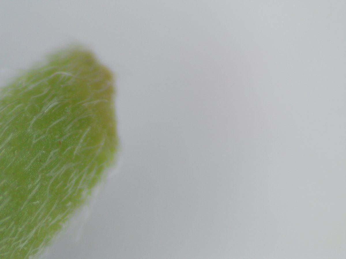 2019 0107 204946 004