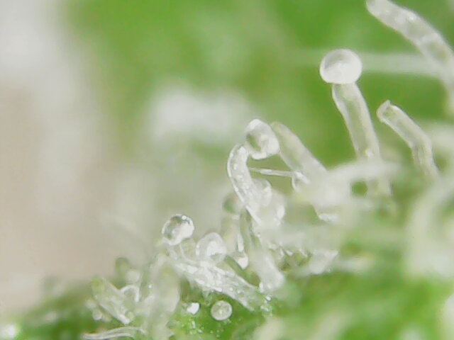 2020 03 03 171204