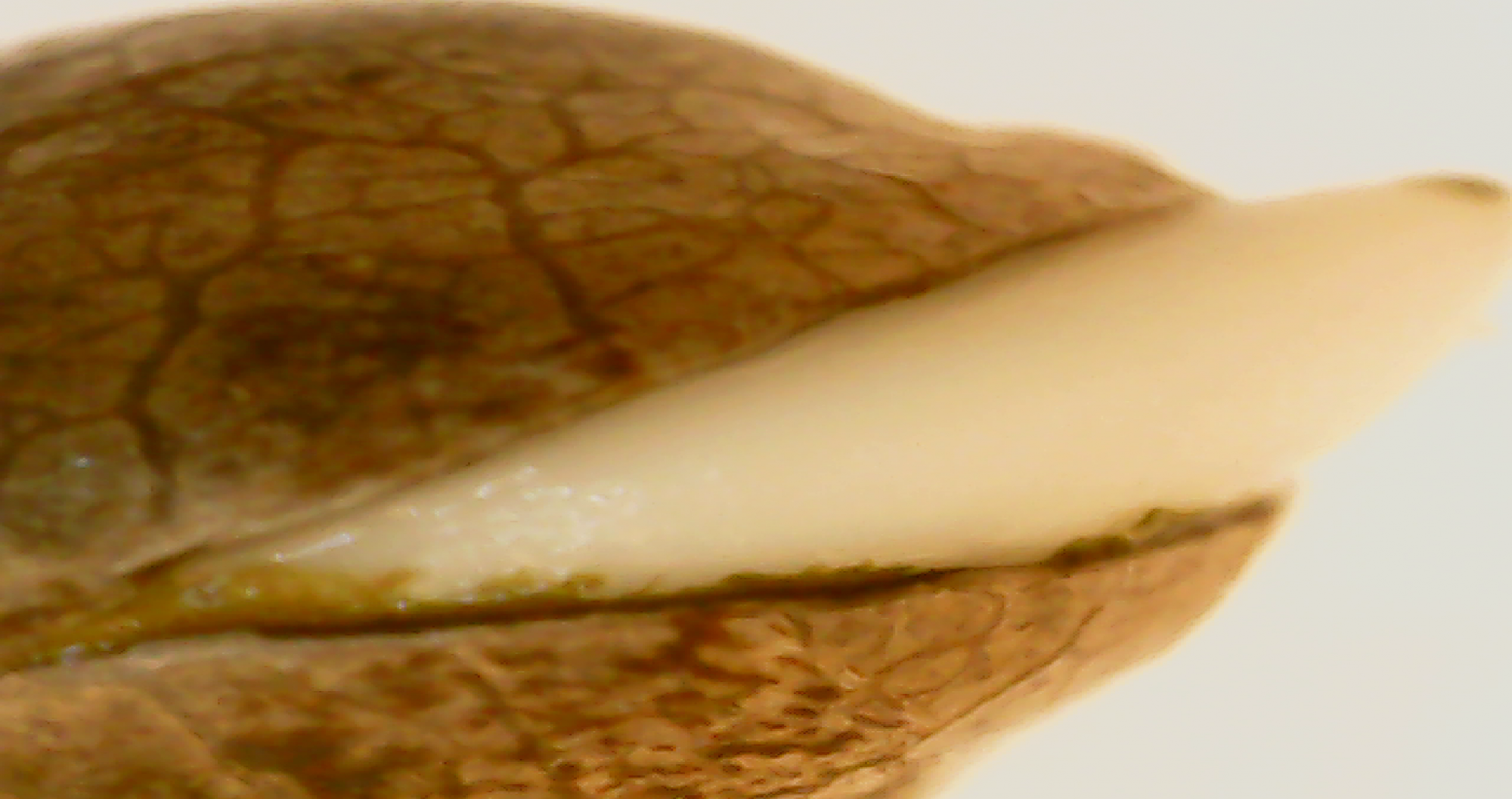 2020 10 22 10 10 38