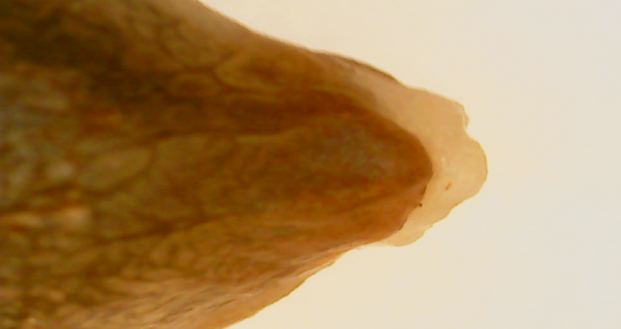 2020 10 22 10 11 20