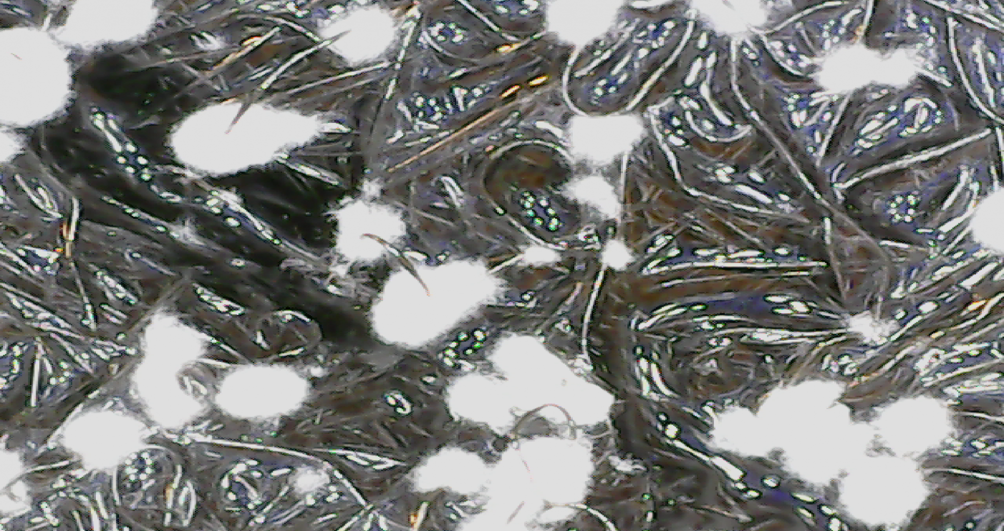 2020 10 28 14 22 26