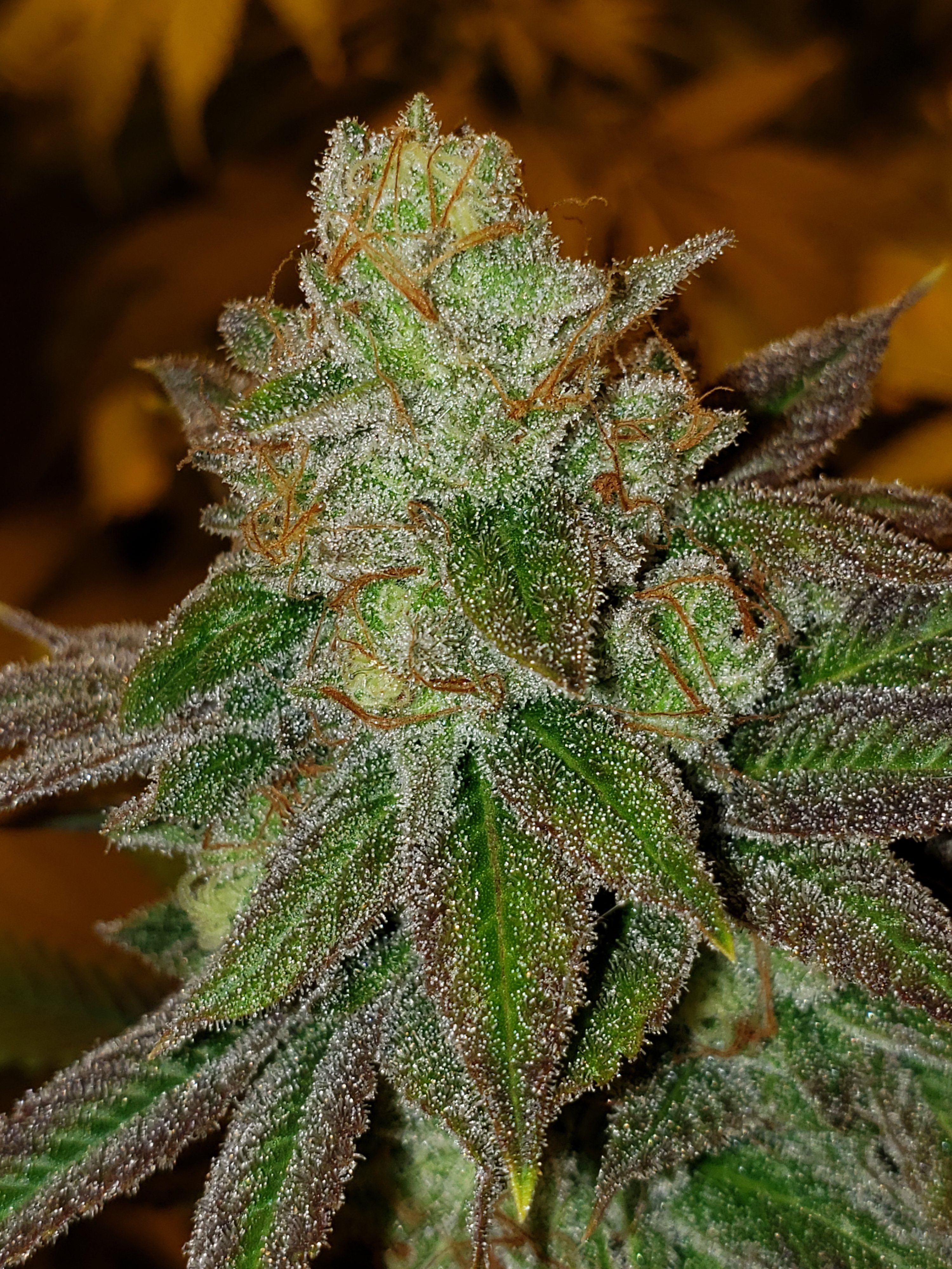 20200101 100319