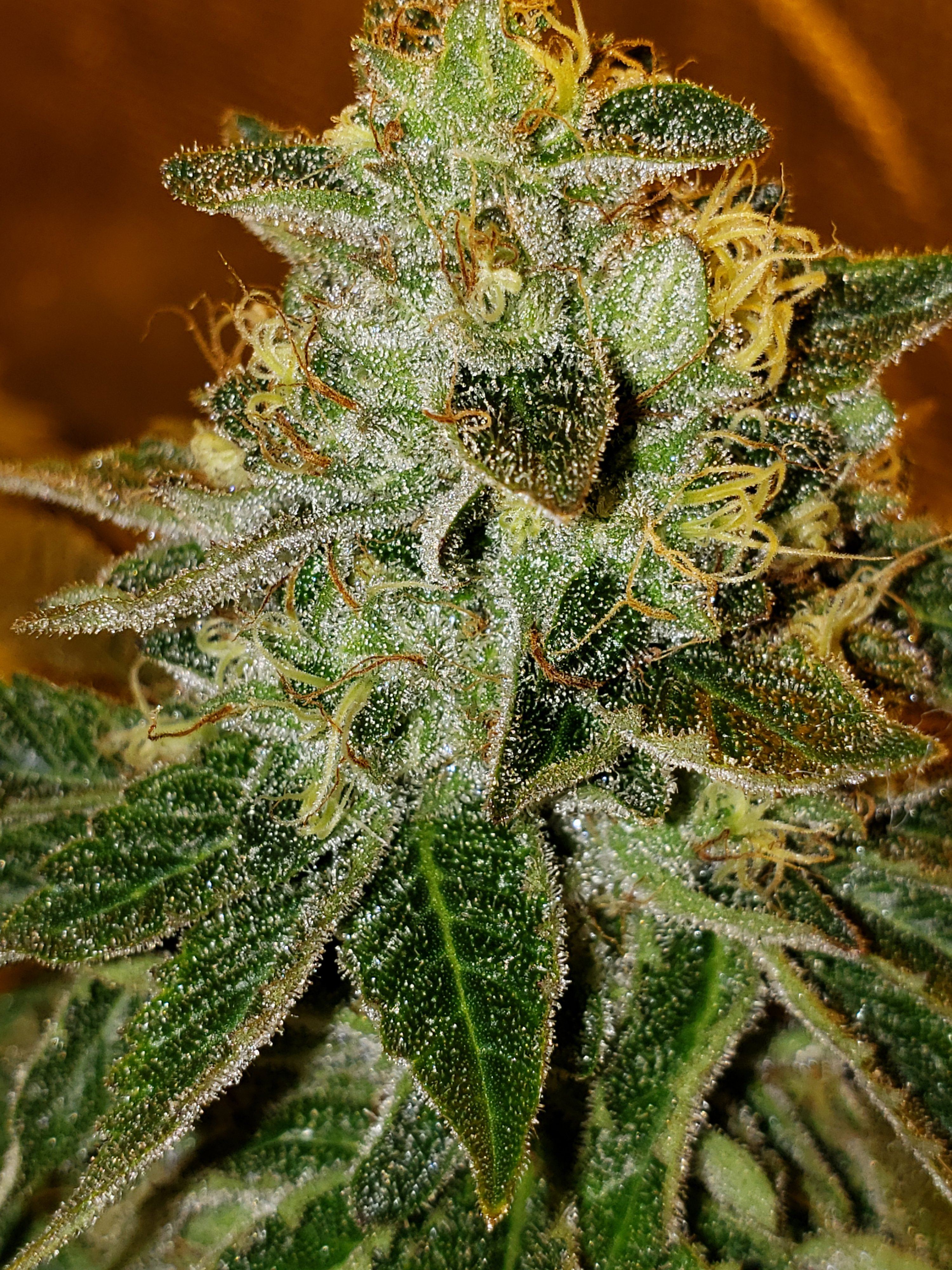 20200101 100342