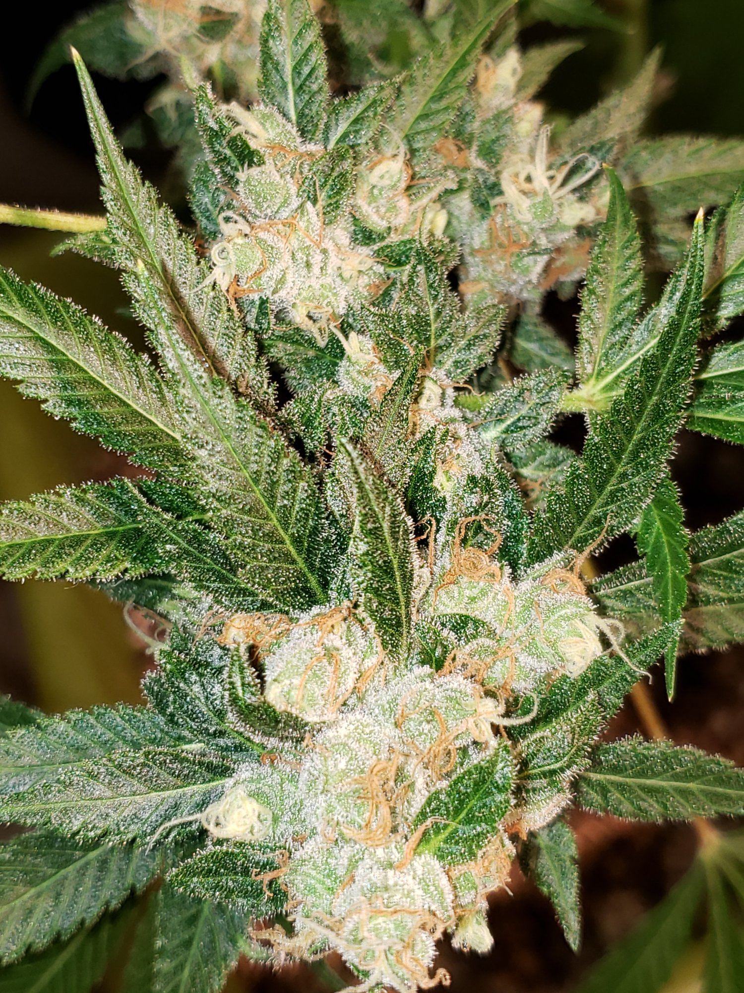 20200103 103525