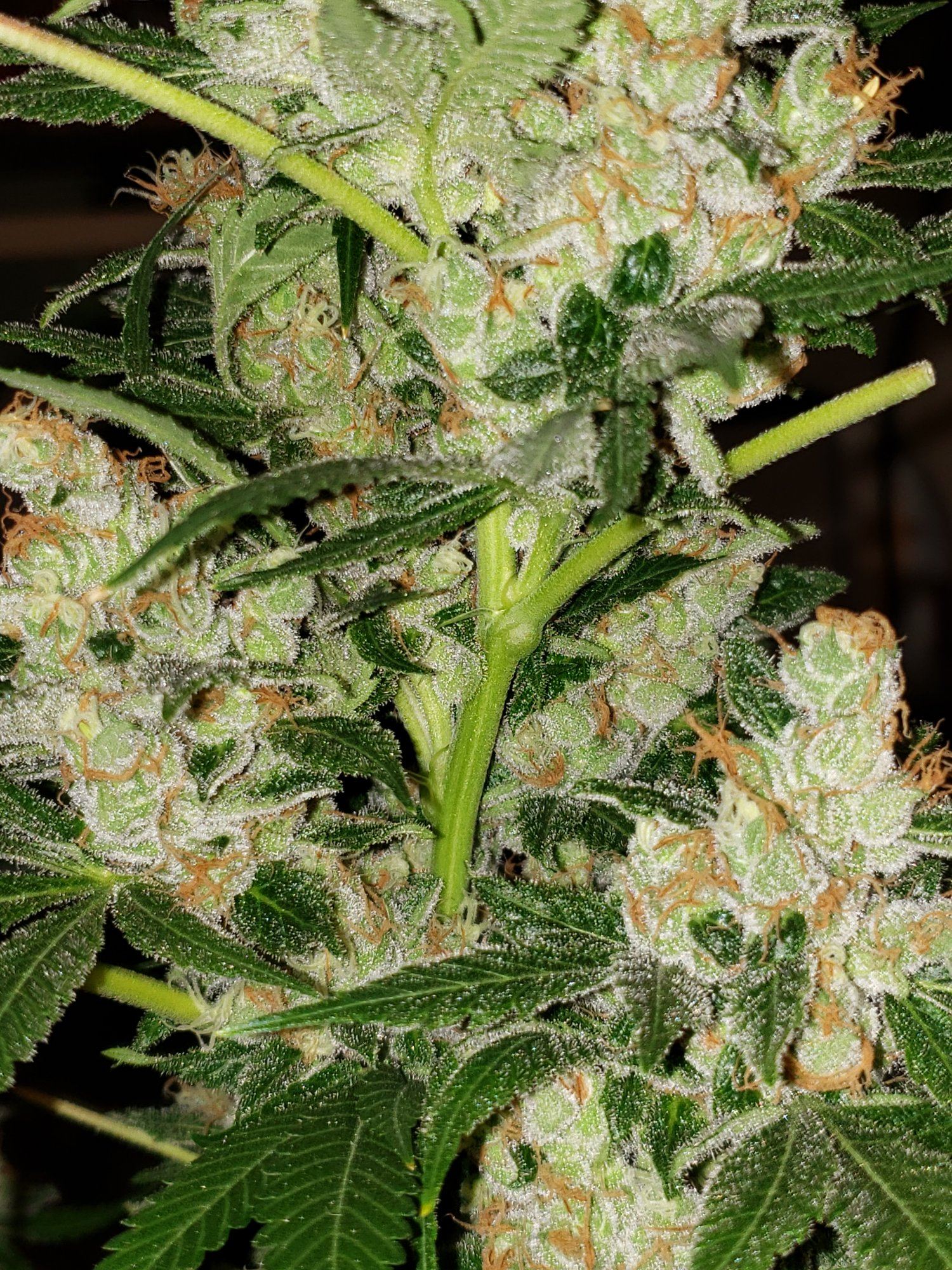 20200103 103542