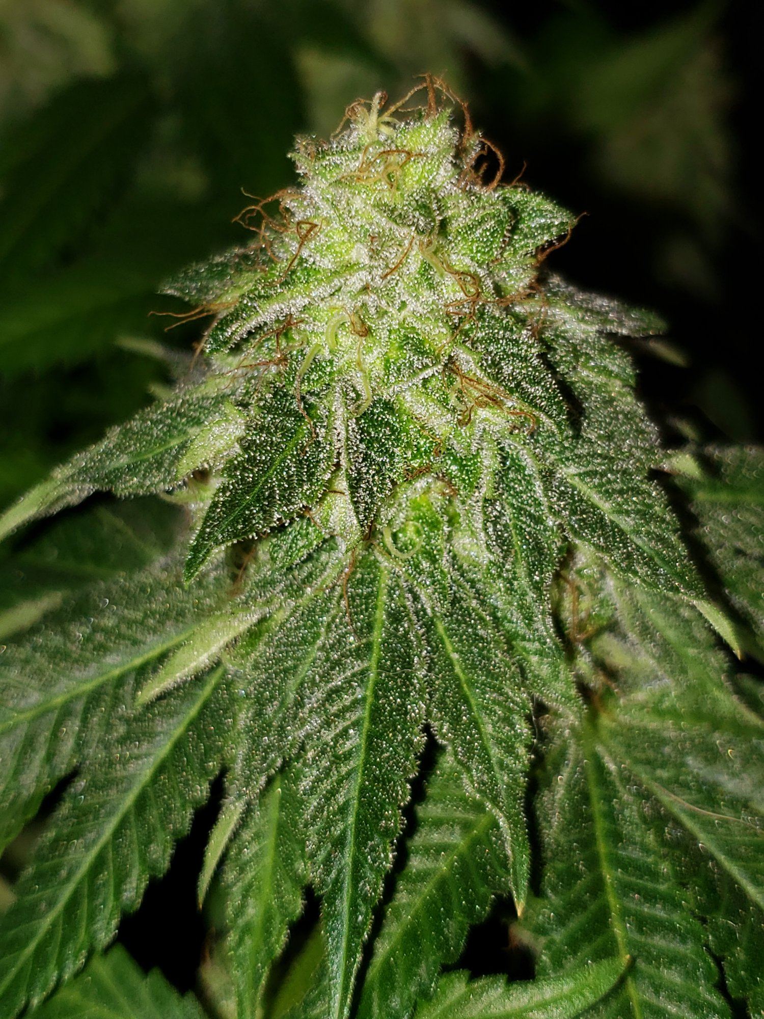 20200103 103658