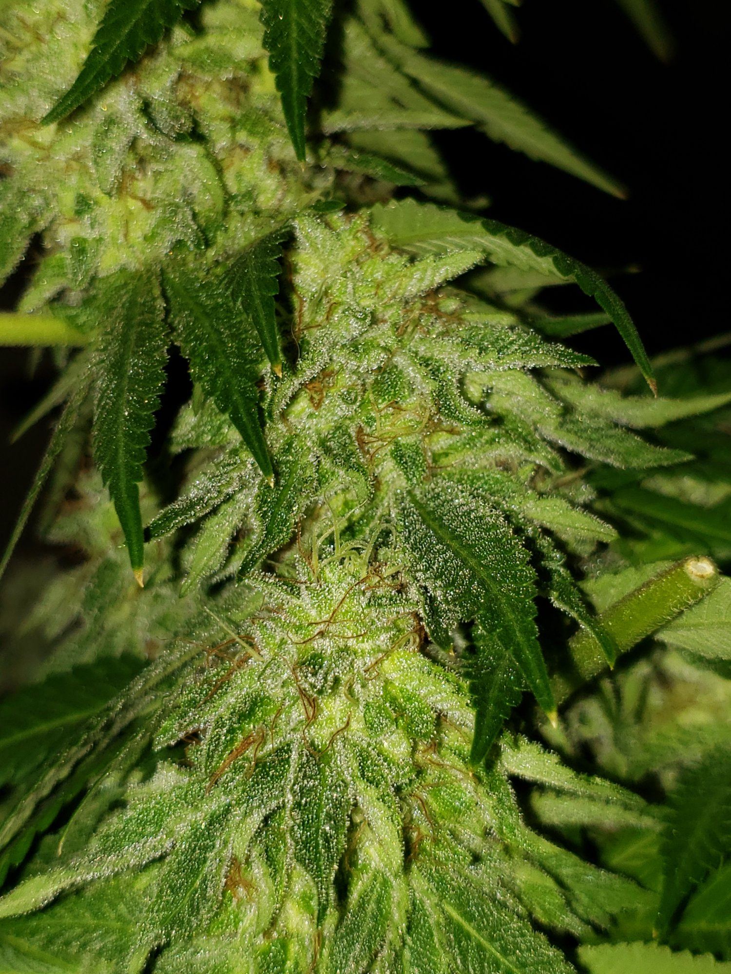 20200103 103722