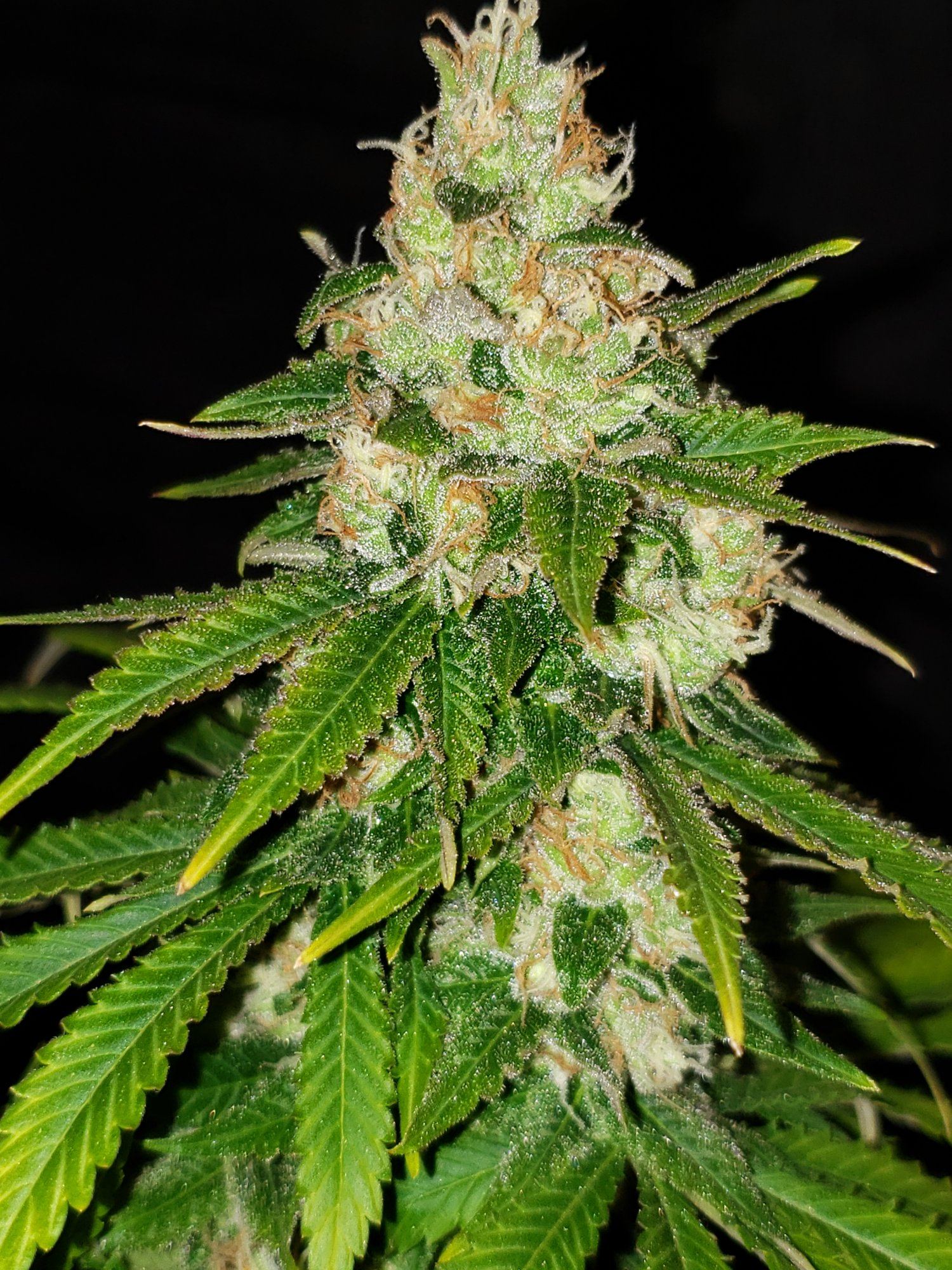 20200103 103813