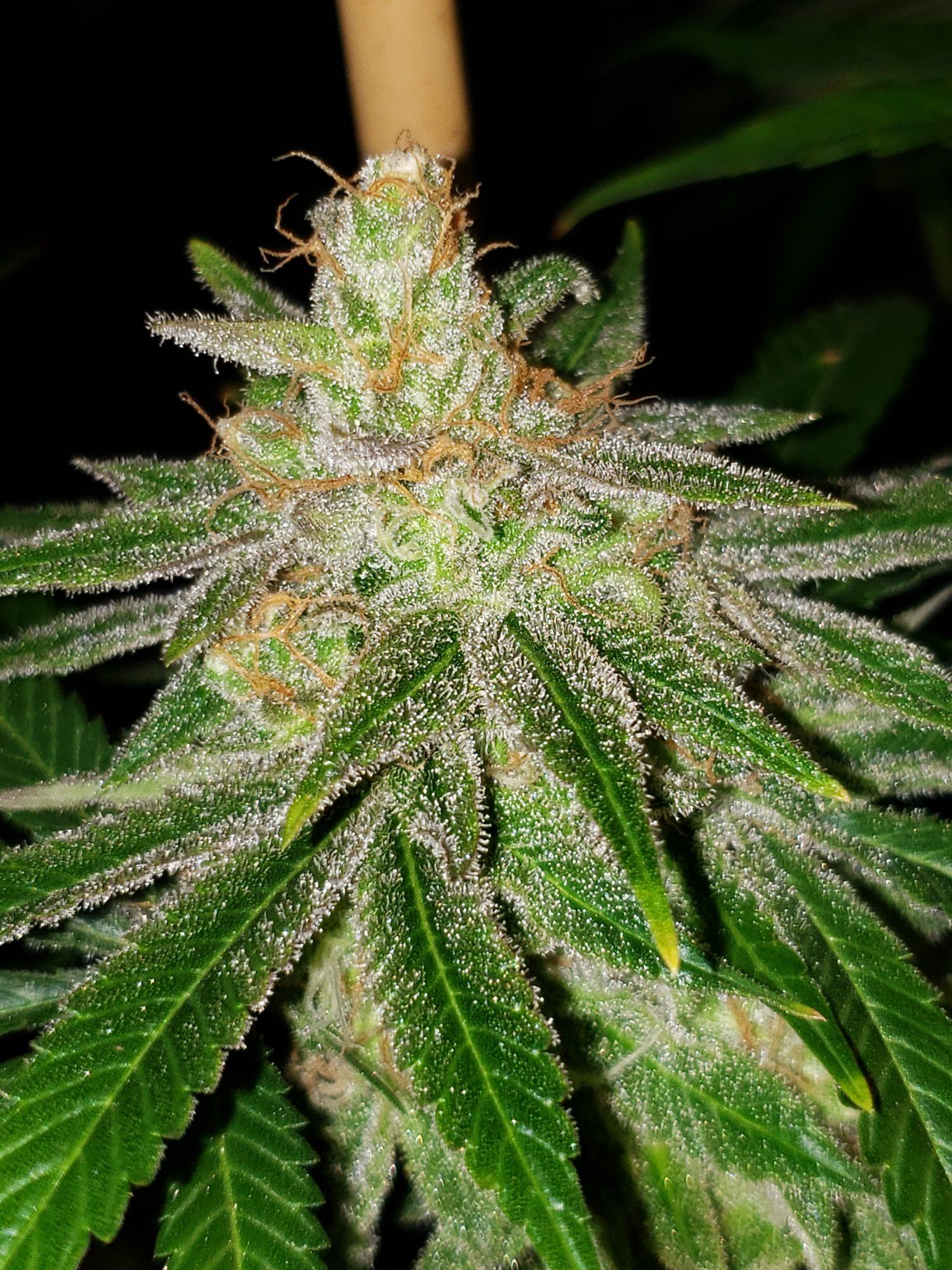 20200103 103942