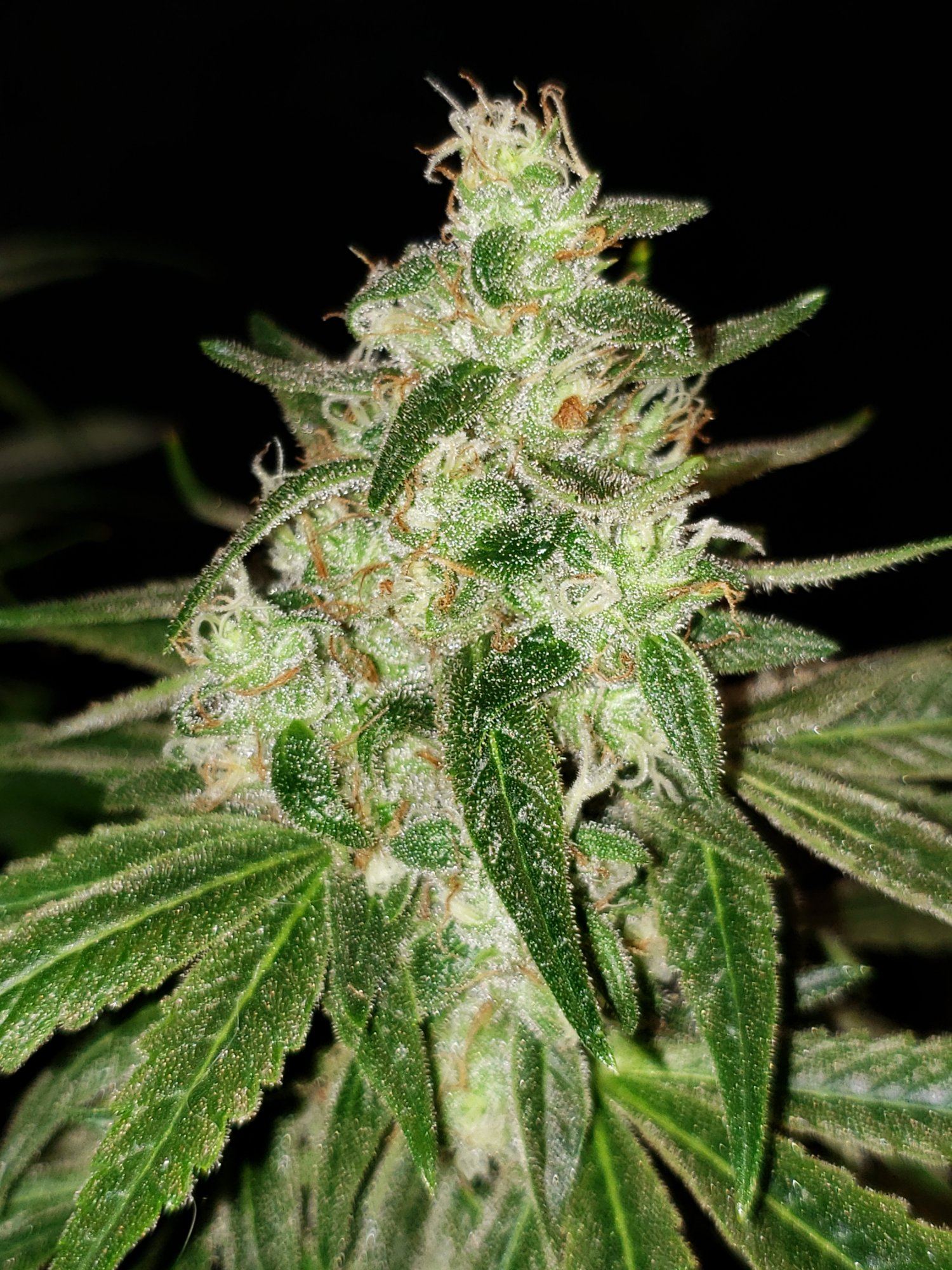 20200103 104715