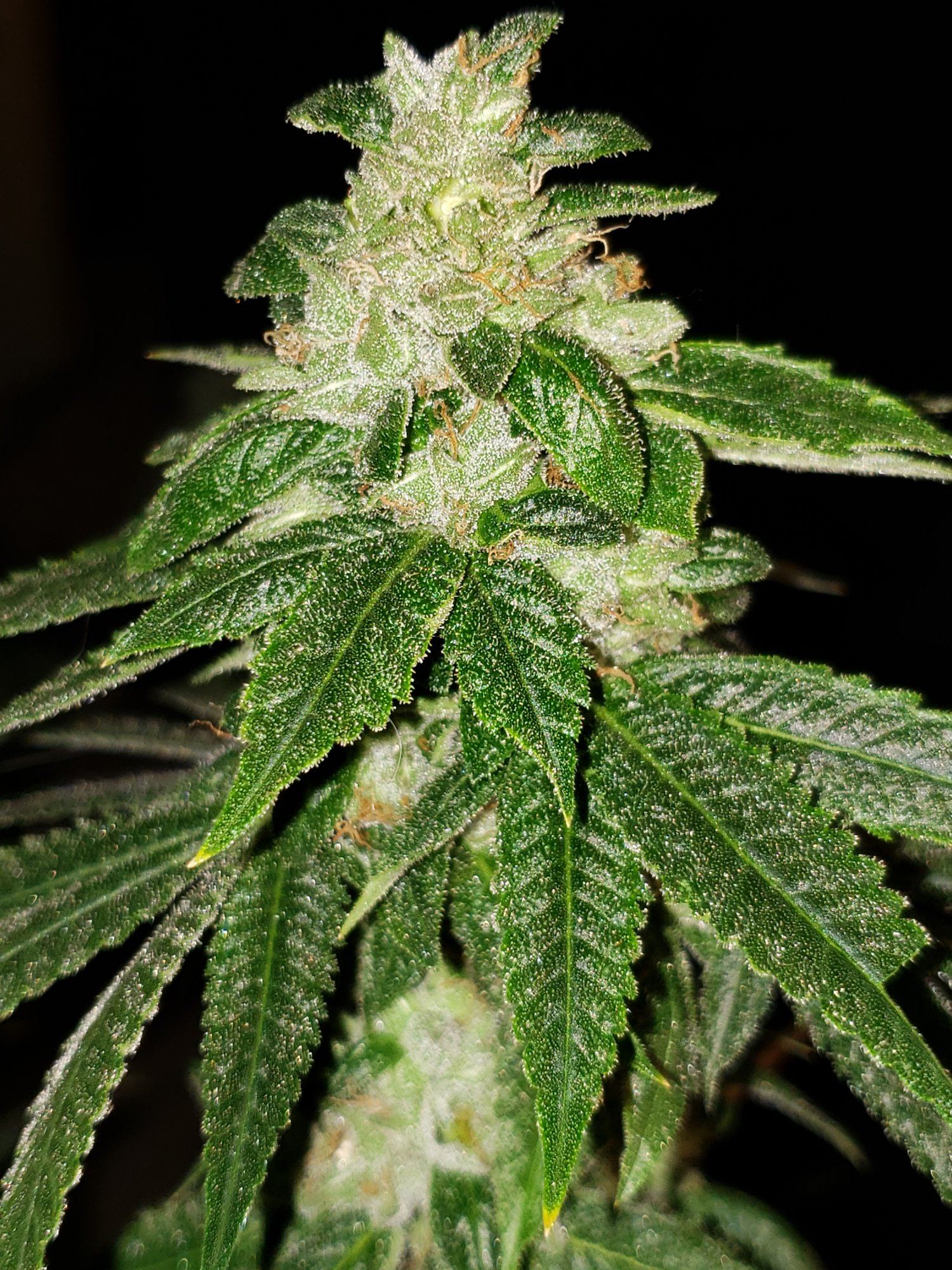 20200103 104958