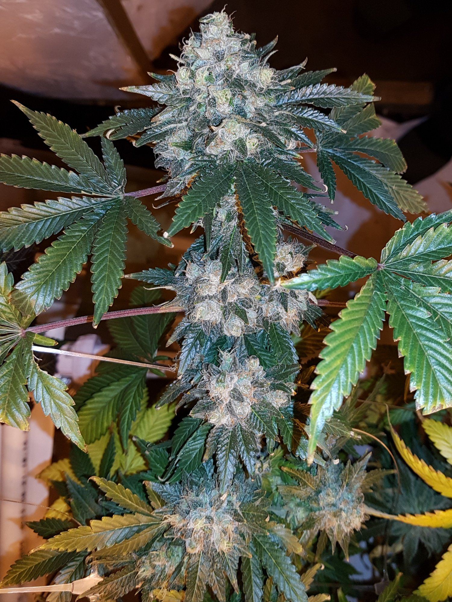 20200103 120240