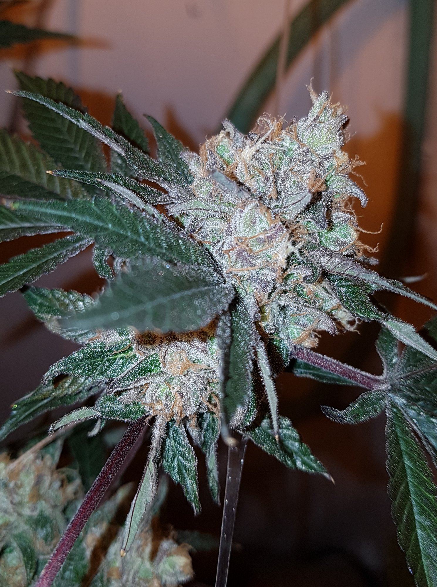 20200103 131529
