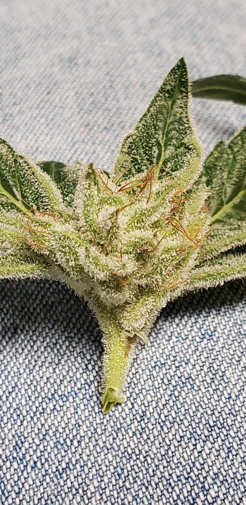 20200106 183011