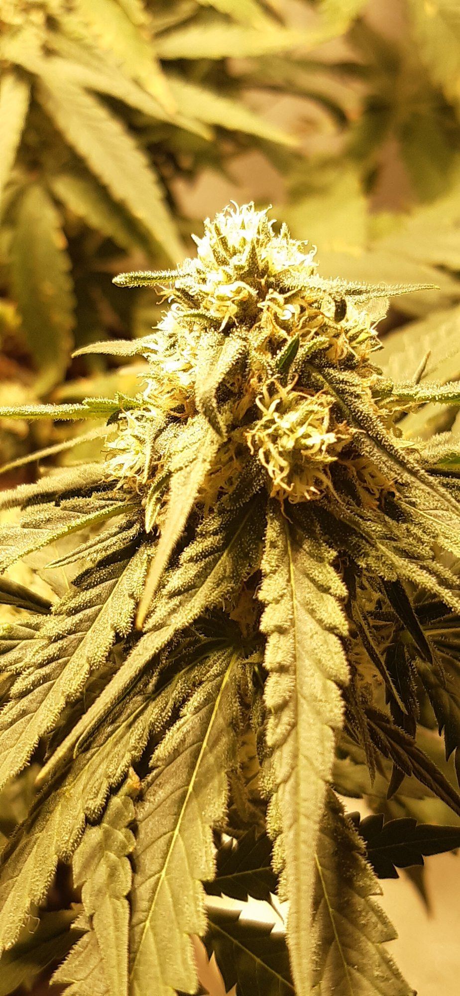 20200106 184034