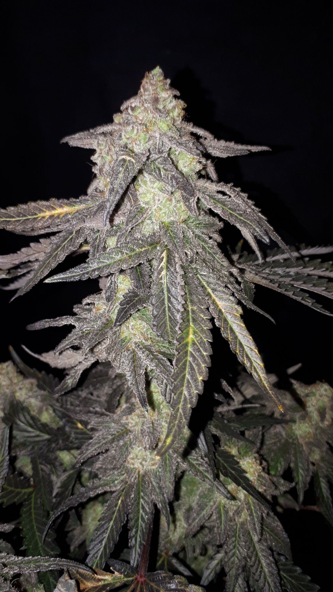 20200108 012929