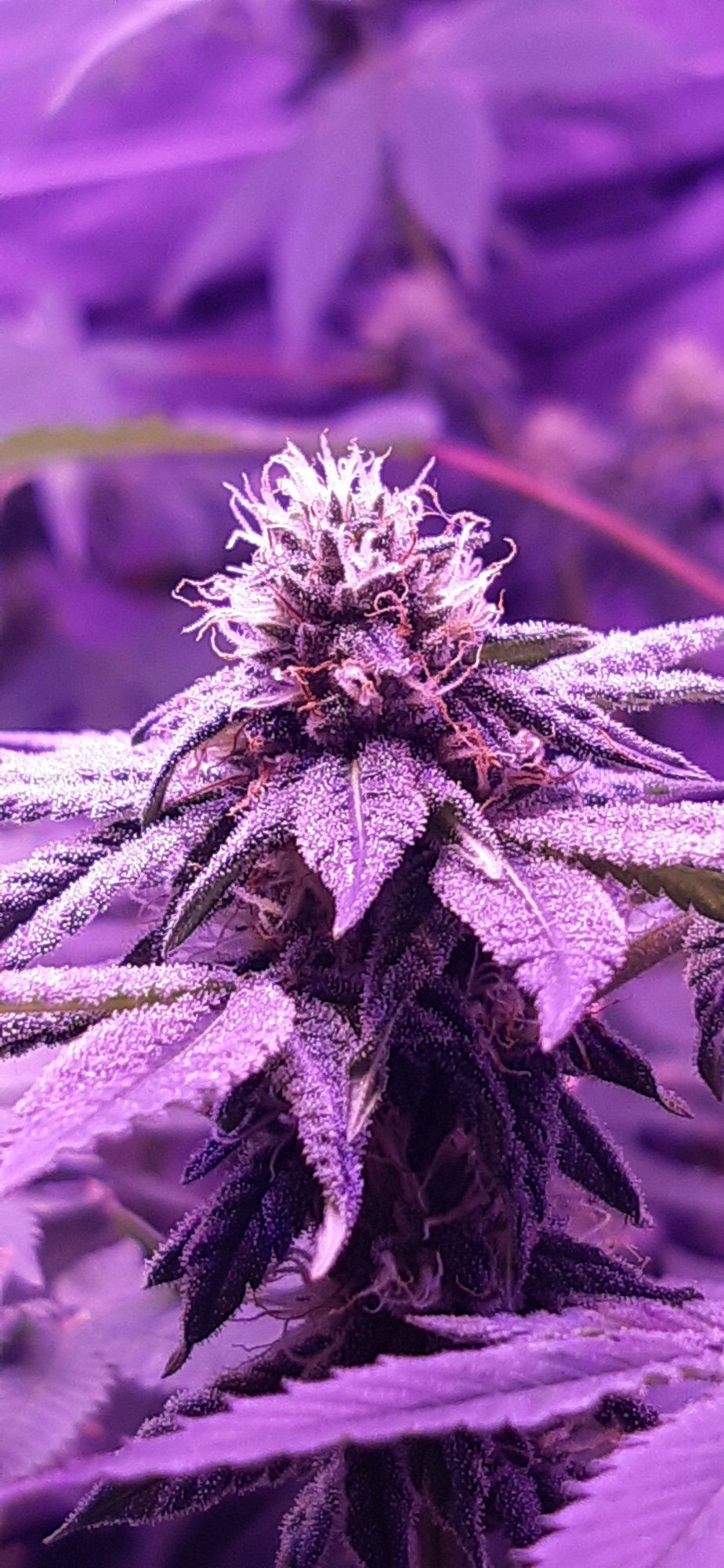 20200108 113635