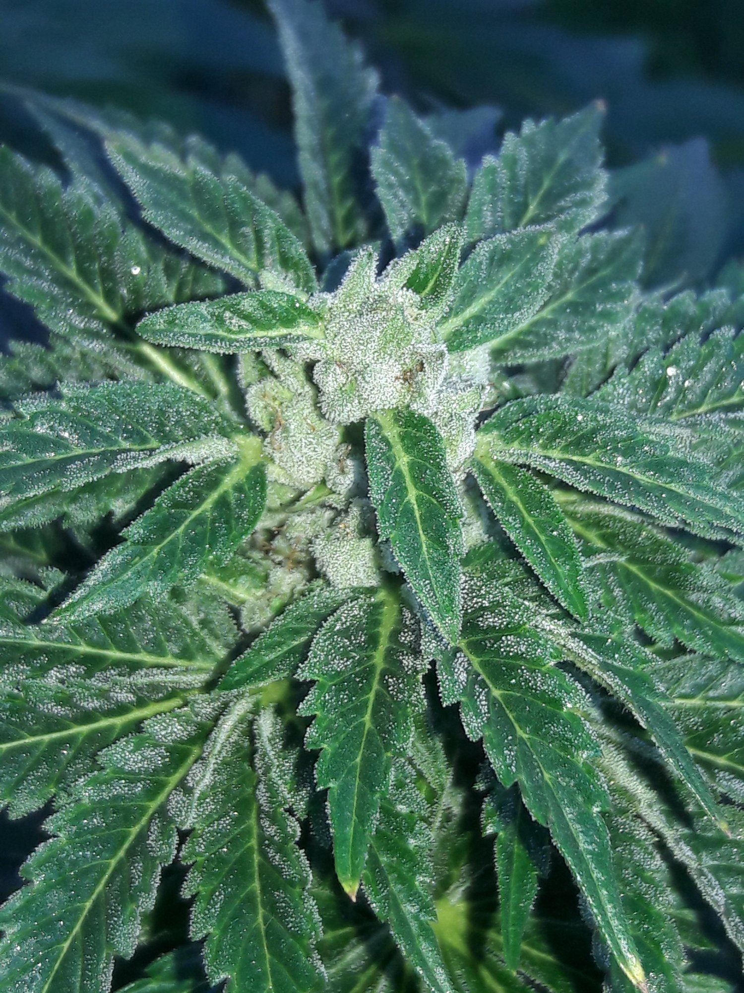 20200111 083957