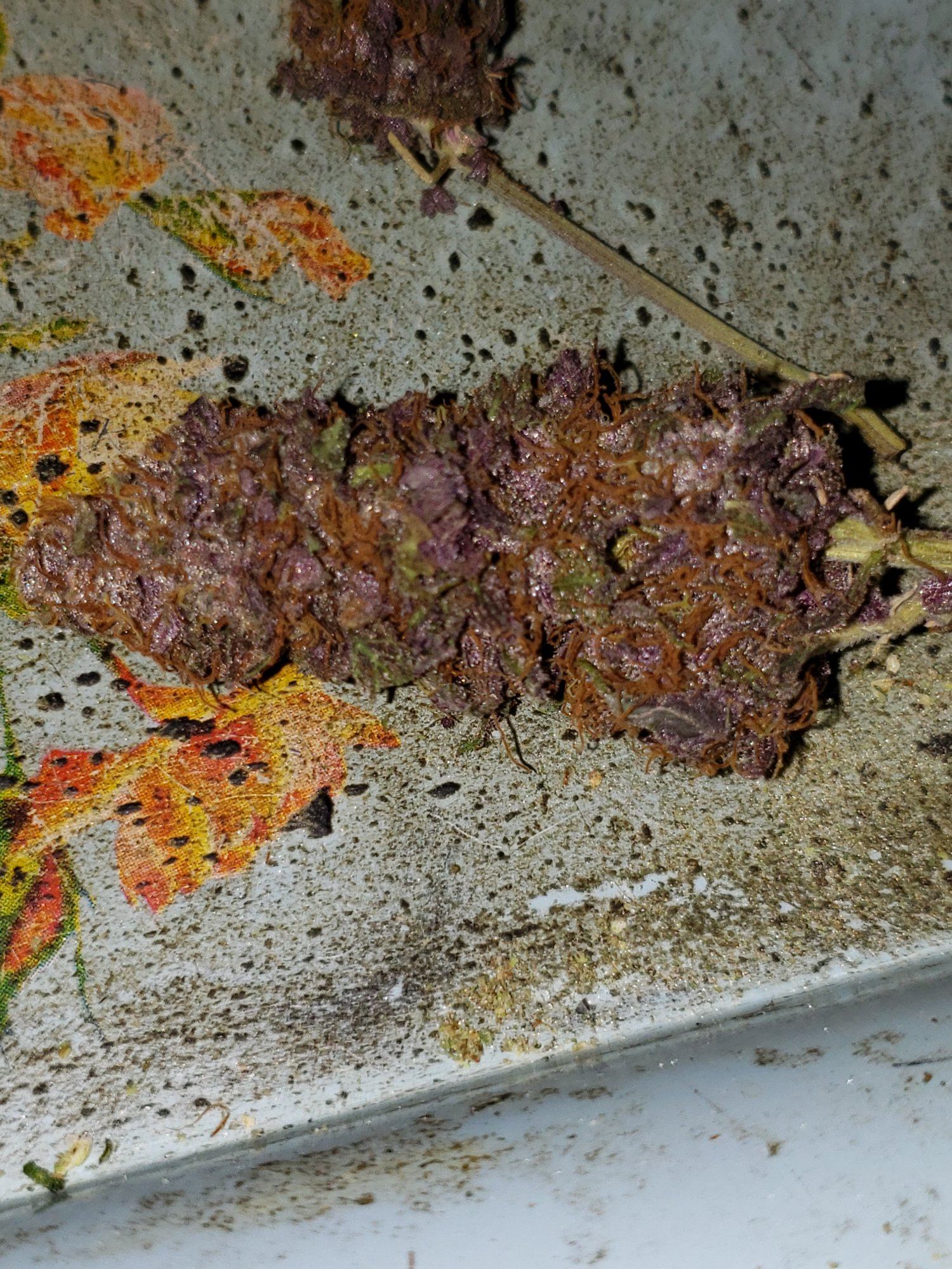 20200127 162549