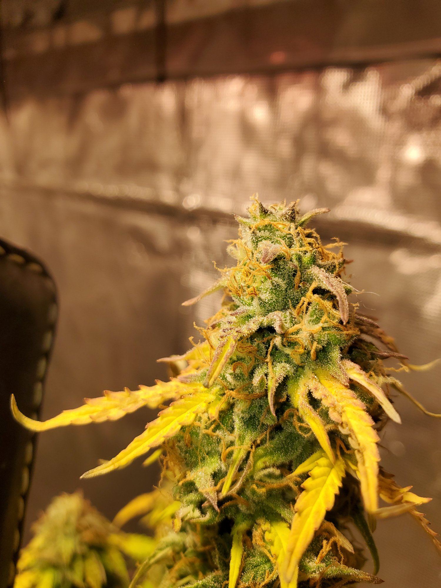 20200202 014830
