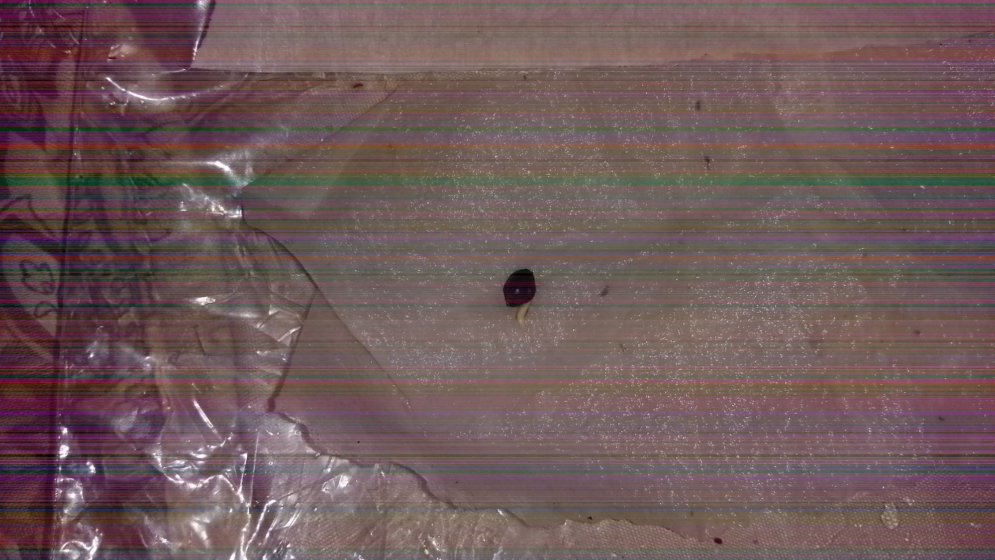 20200205 195007
