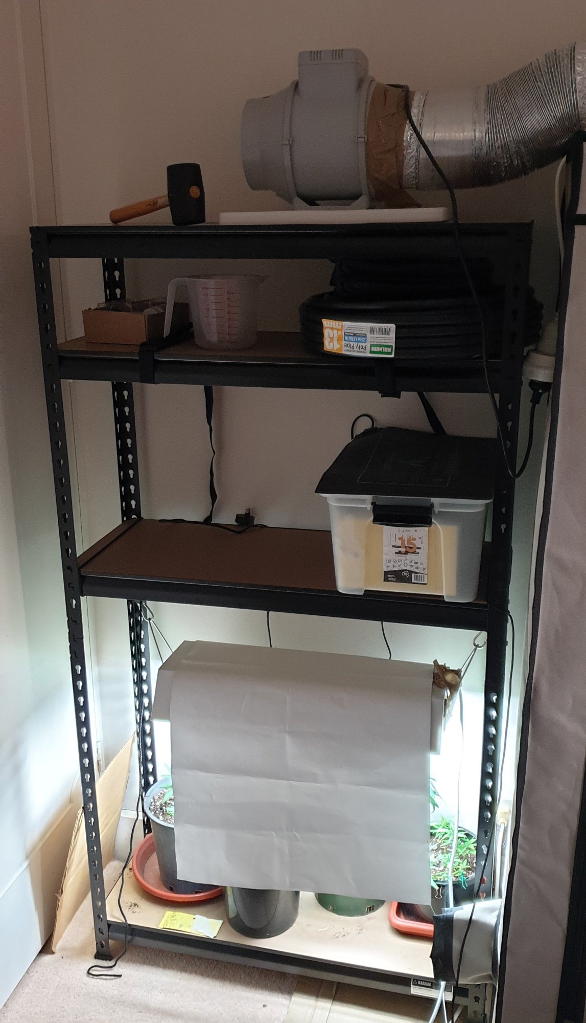 20200323 183421 rough temp setup