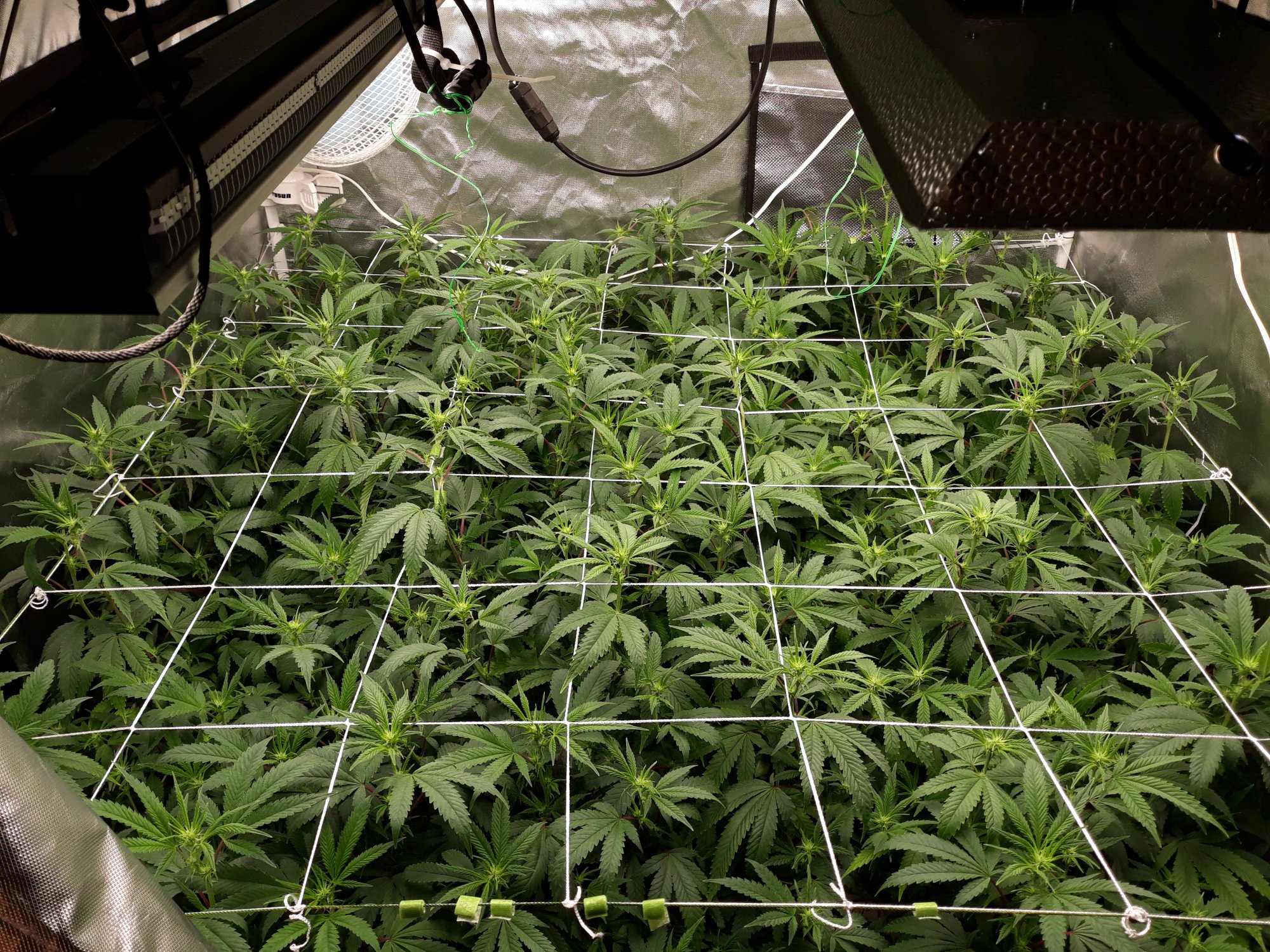 20200326 234806