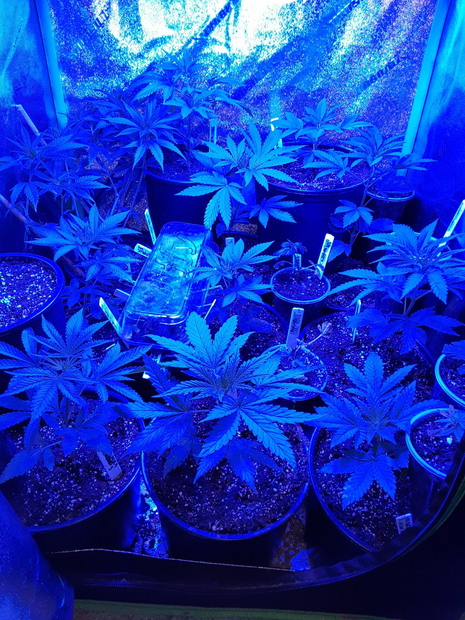 20200405 142222