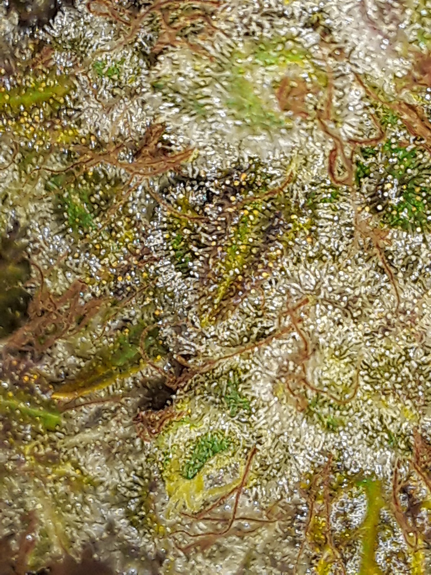 20200421 071546