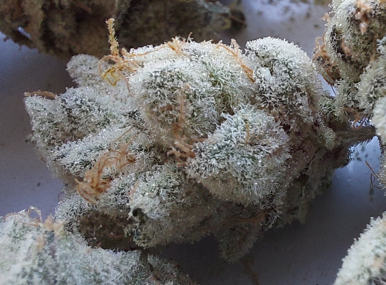 20200507 170012