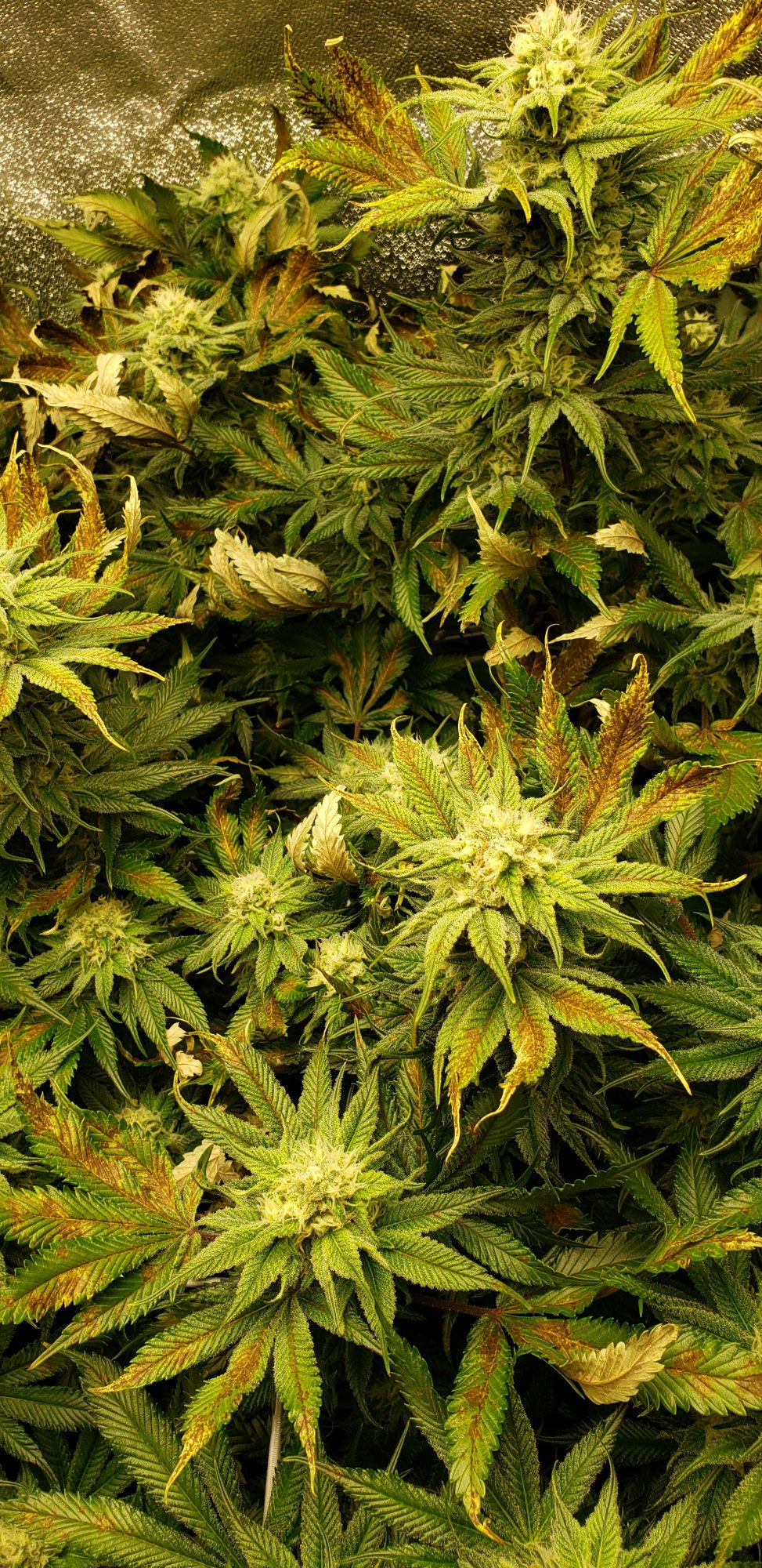 20200509 092650