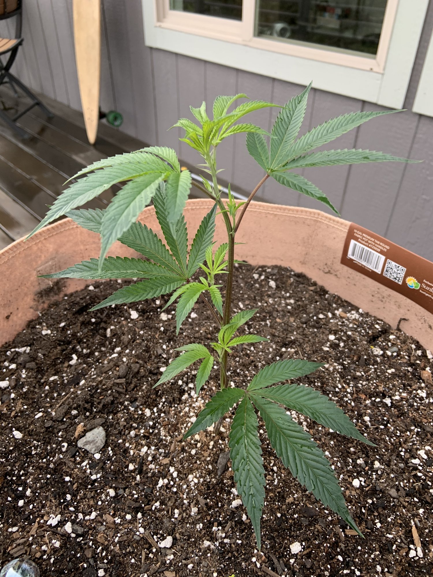 20200513 Hazmat OG