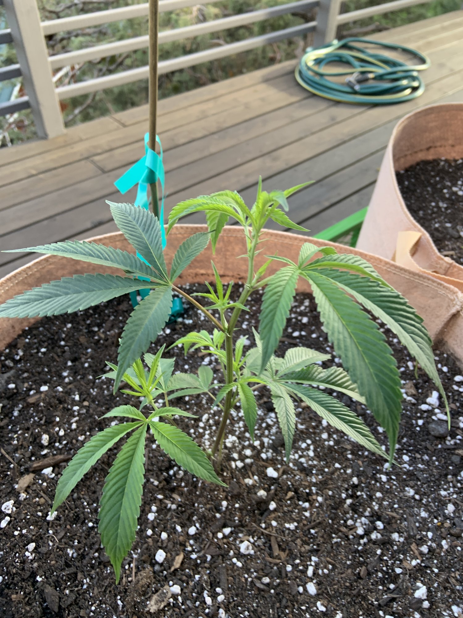 20200514 Casper OG