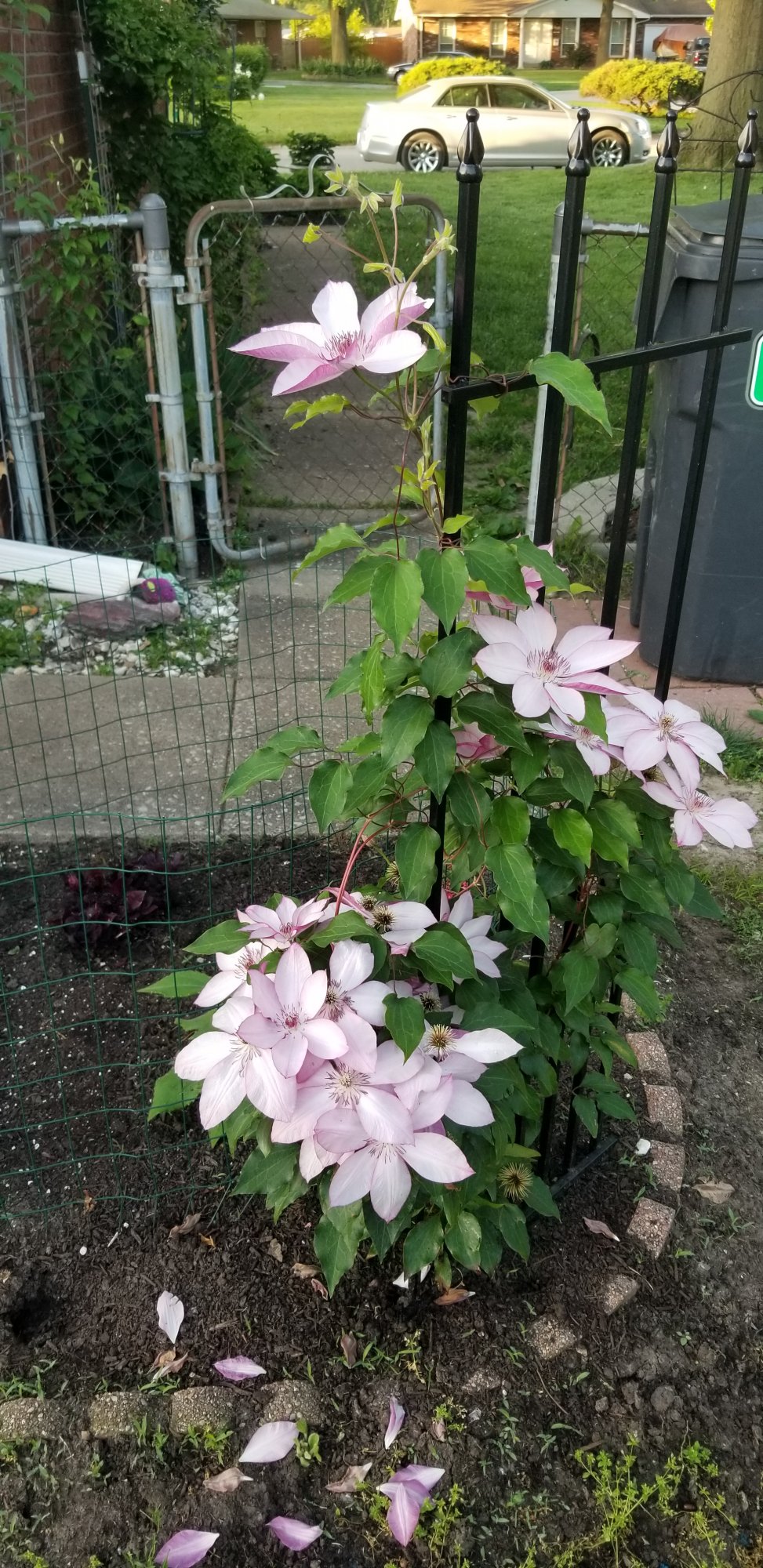 20200524 062921