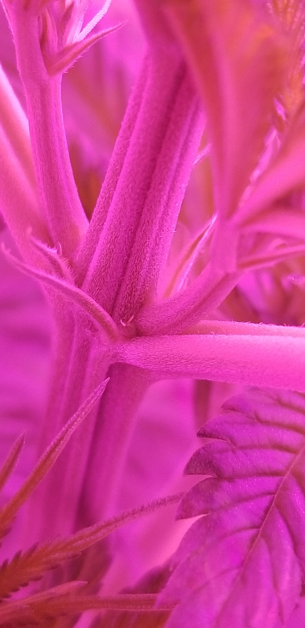 20200601 184326