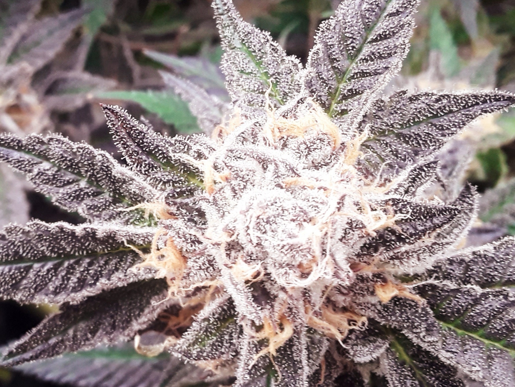 20200601 190912