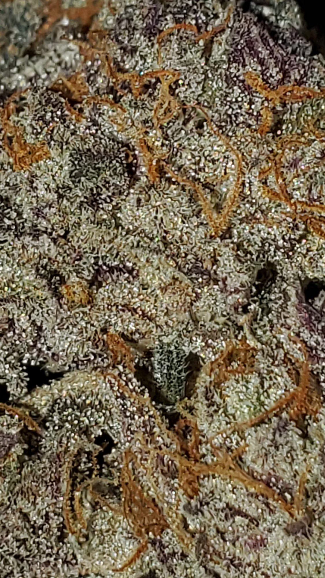 20200603 153807