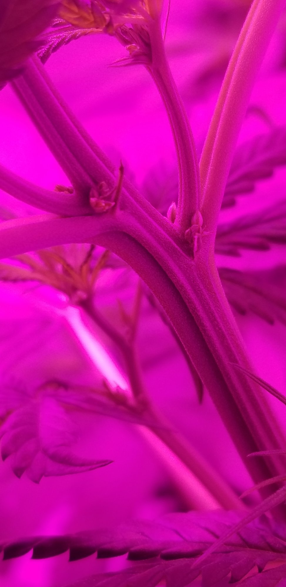 20200603 170319