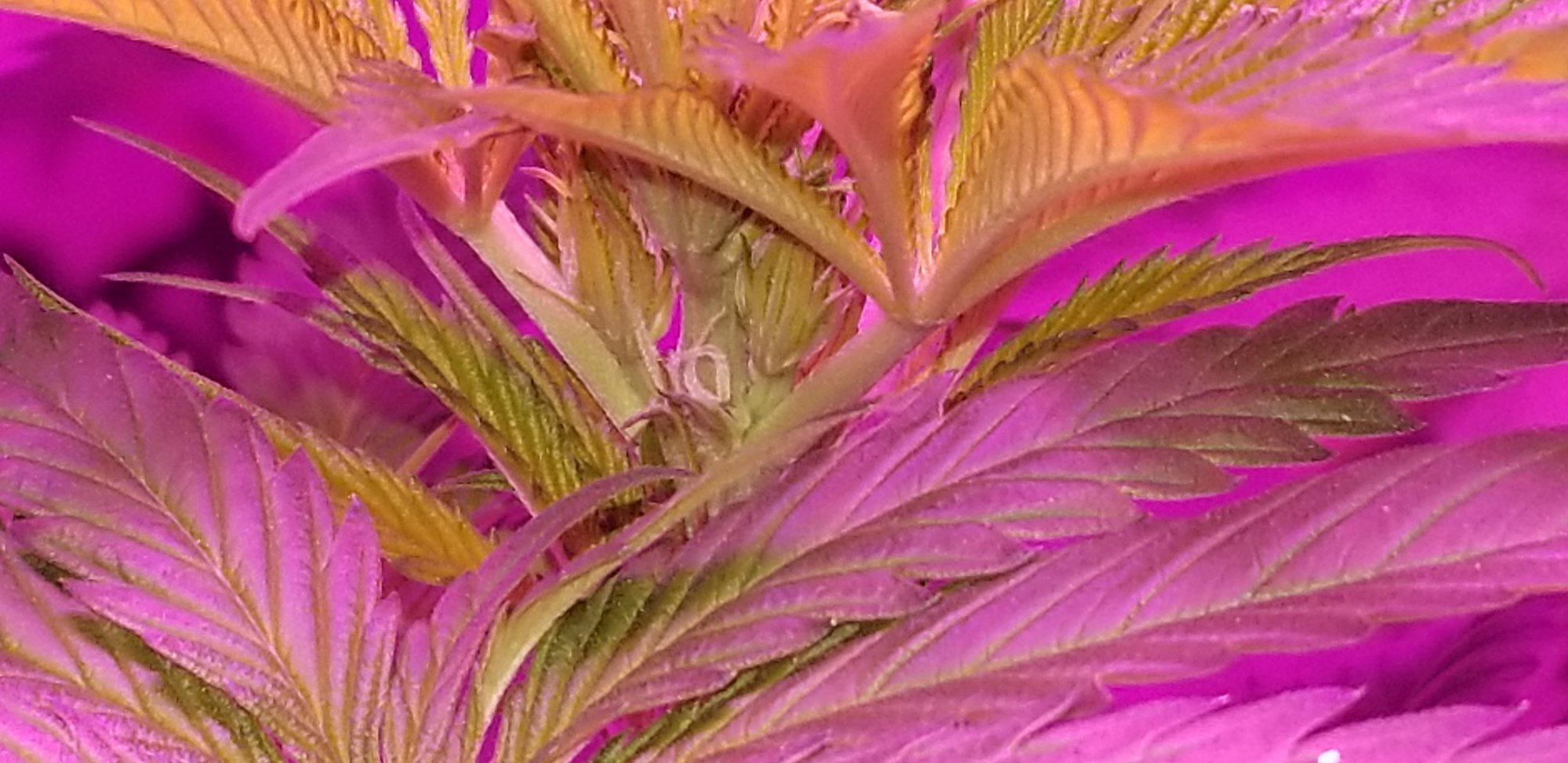 20200604 124030