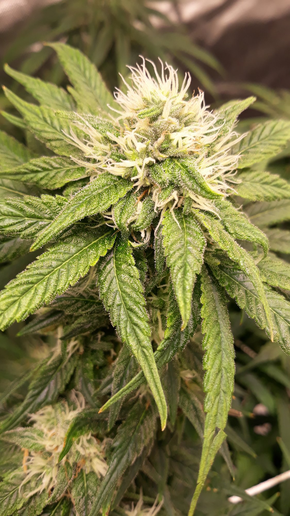 20200607 211531