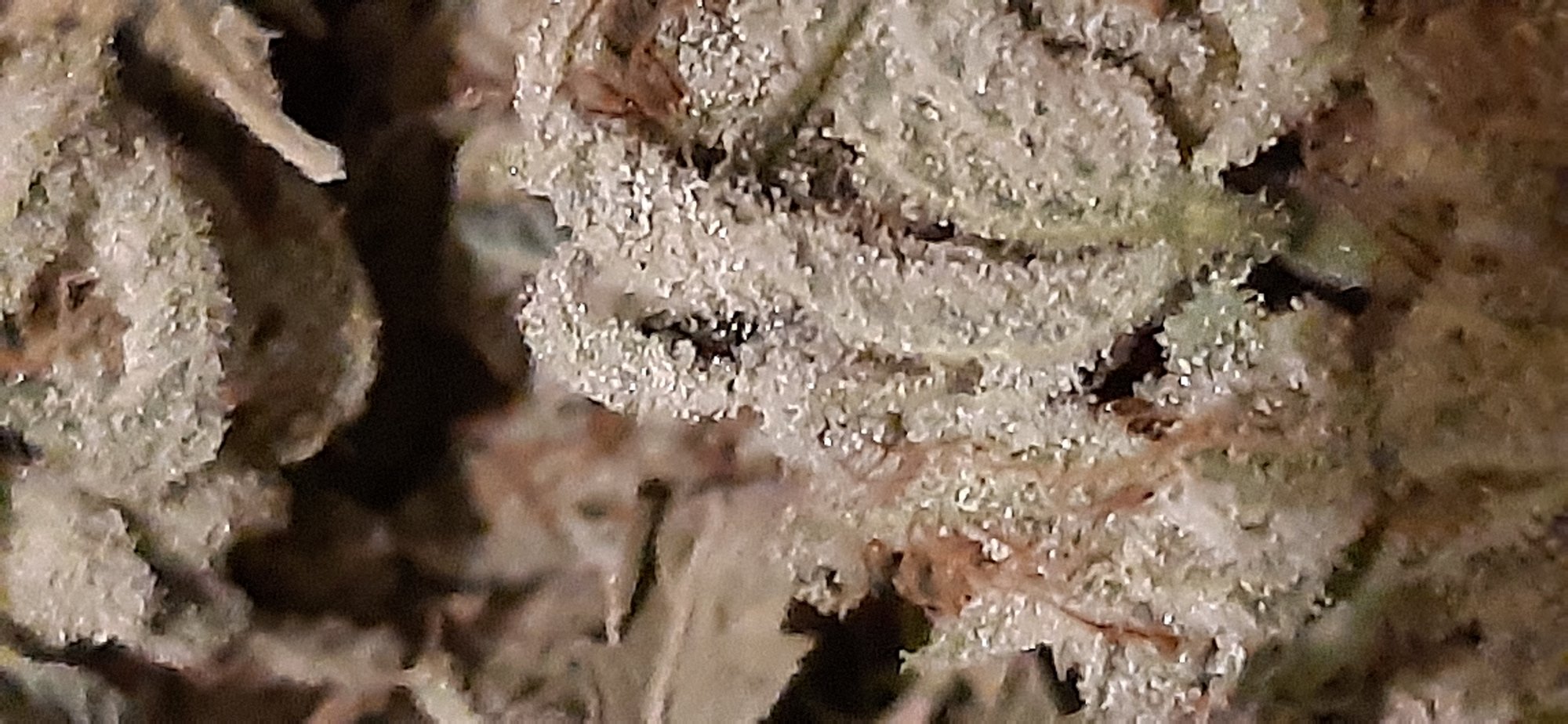 20200613 013443