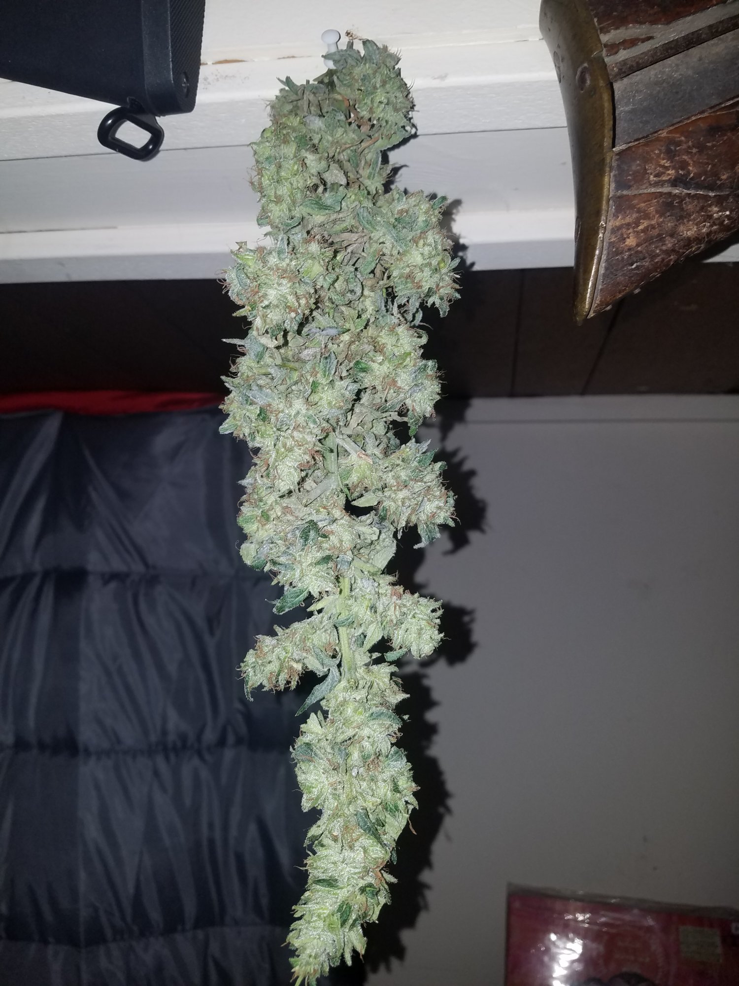 20200613 133451