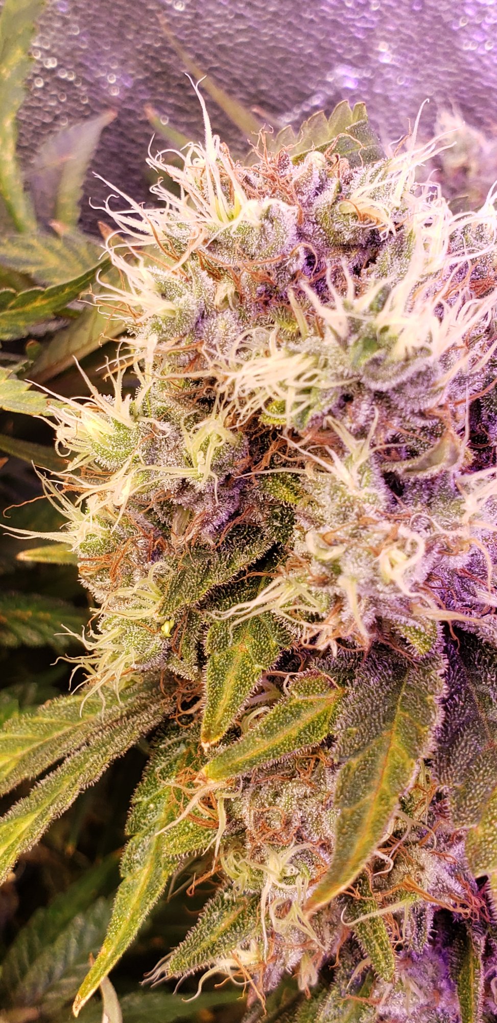 20200616 223519