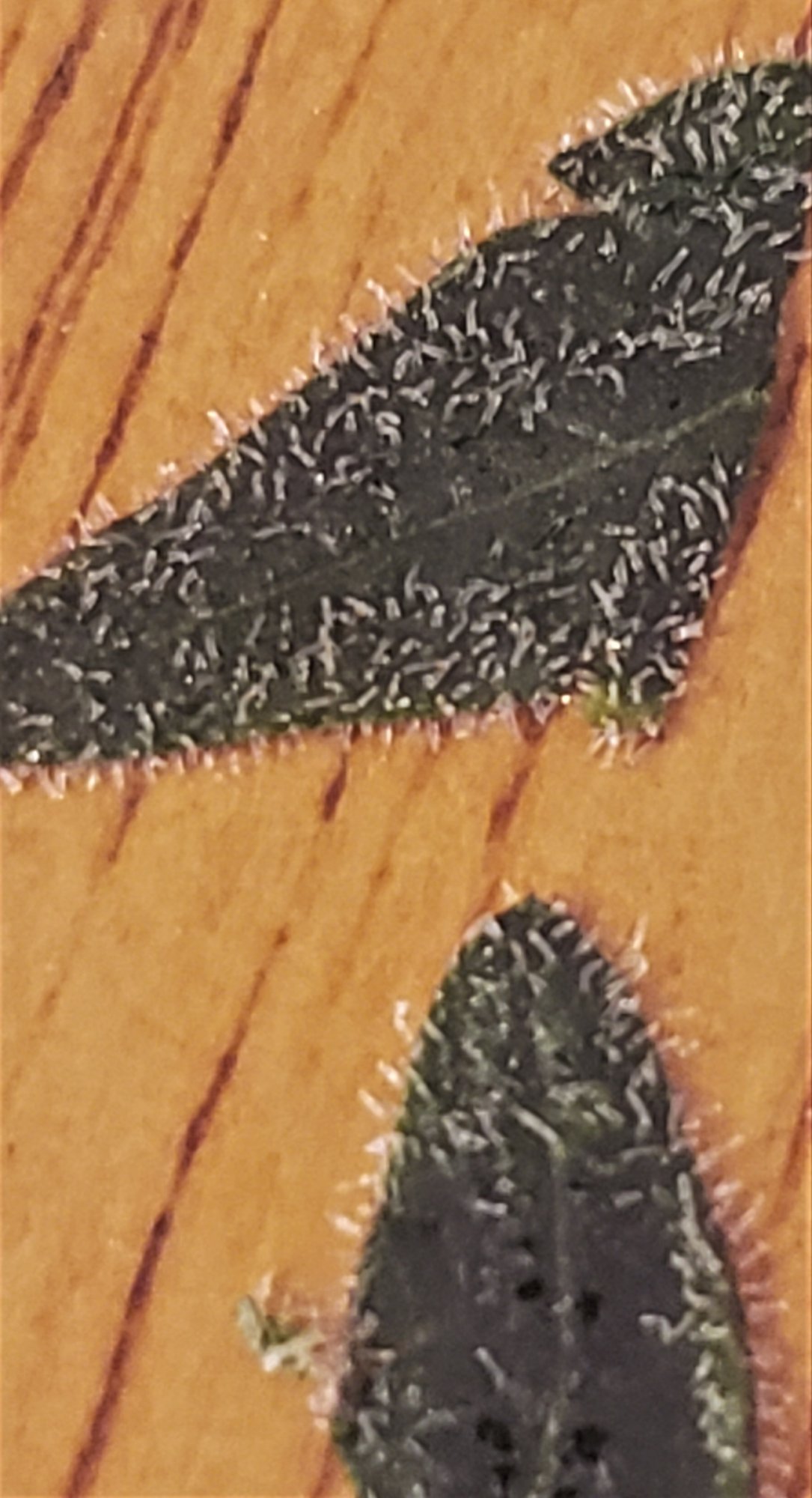 20200616 224356