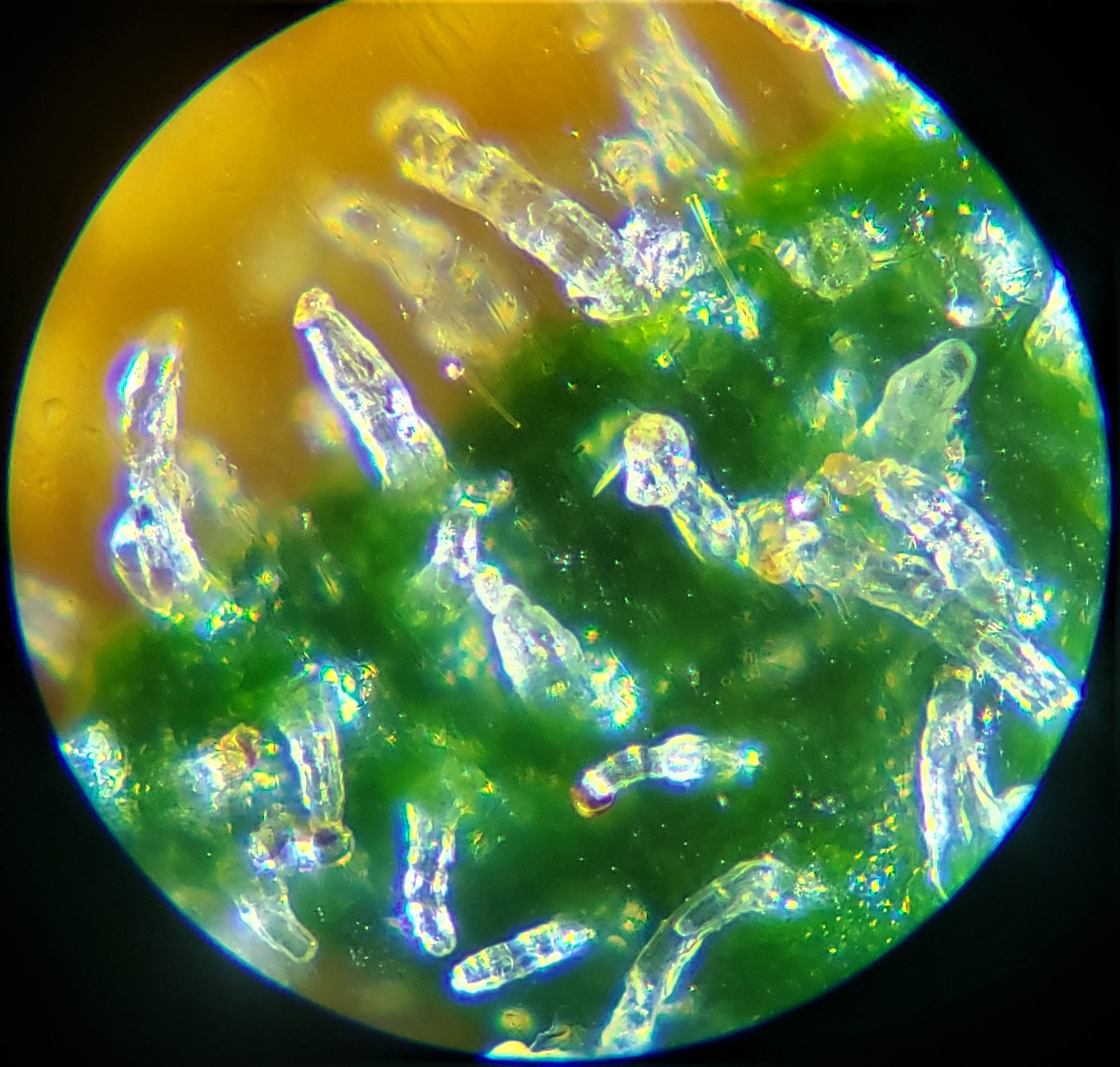 20200616 224617