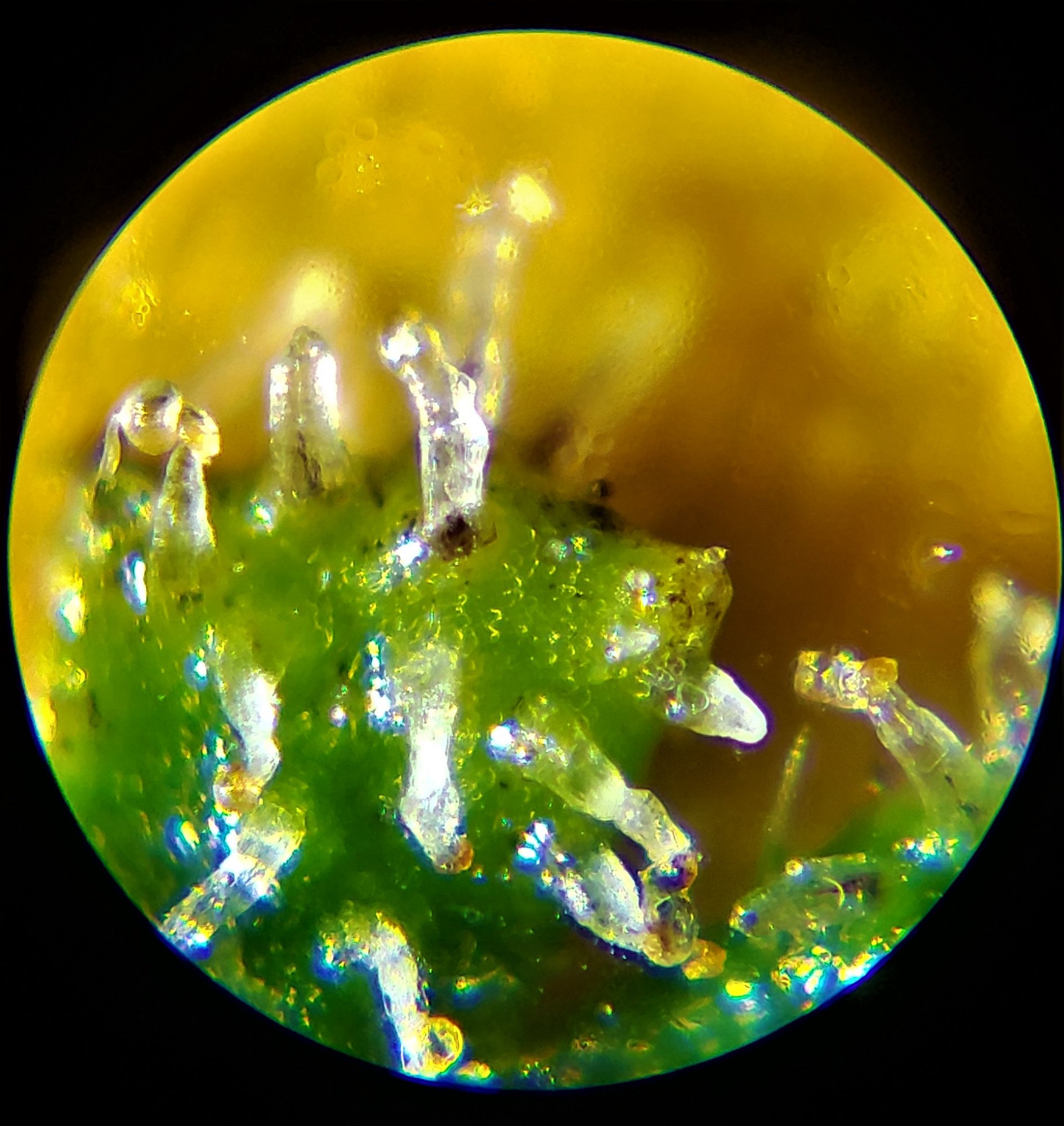 20200616 225242