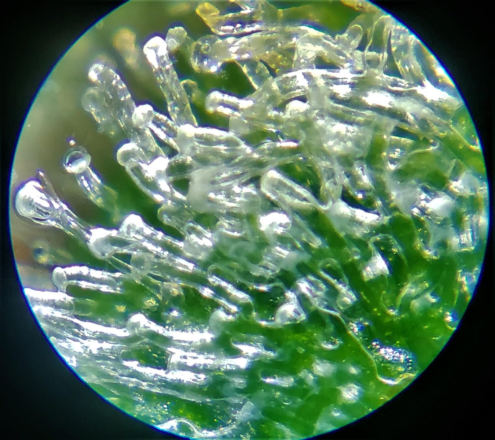 20200616 225835