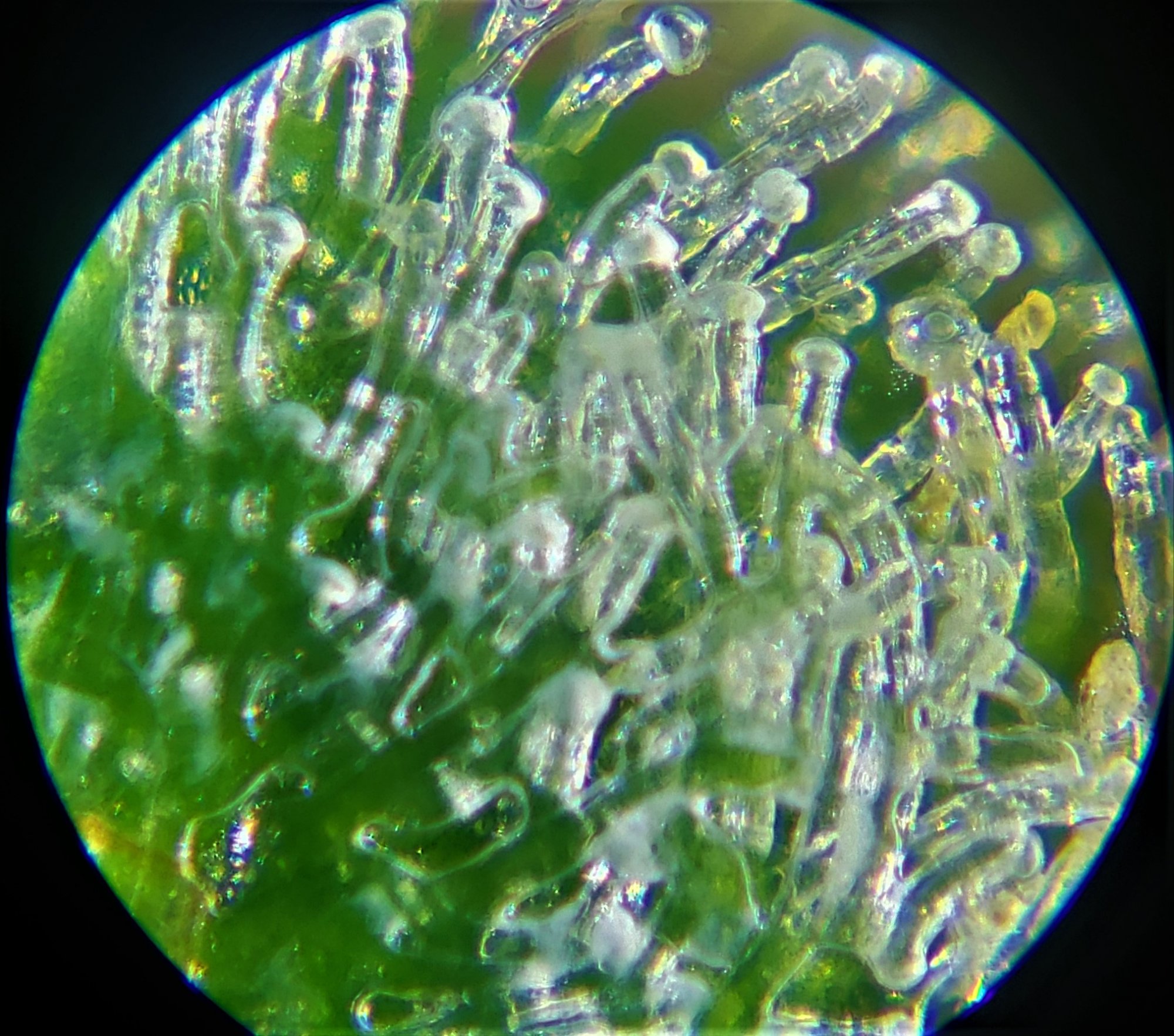 20200616 225940