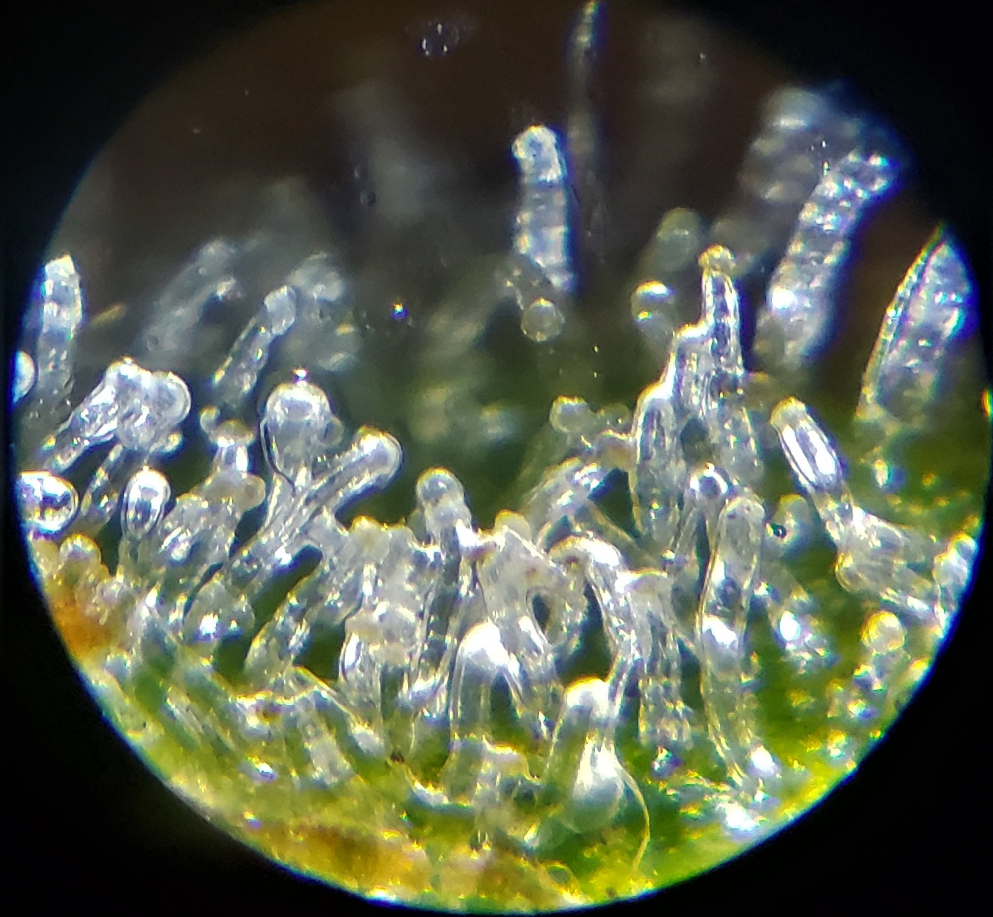 20200616 230109