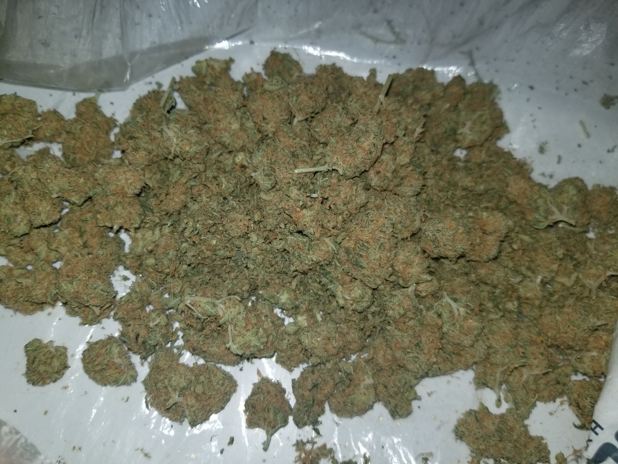 20200617 110919